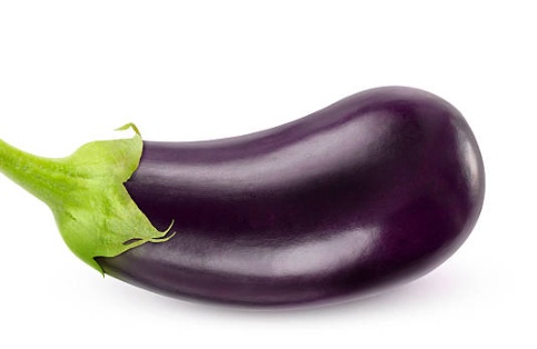 world's largest penis