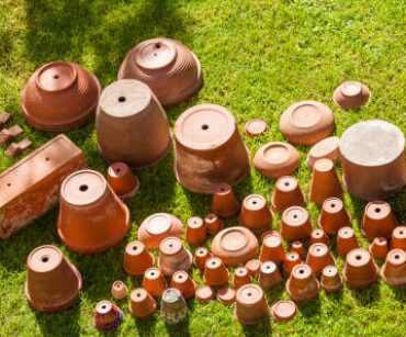 eating mini clay pots